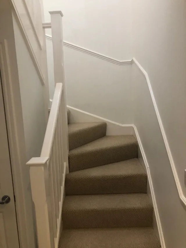IMG 0061