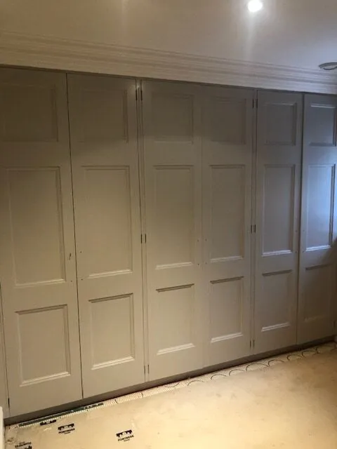 Wardrobe Door Painting Project