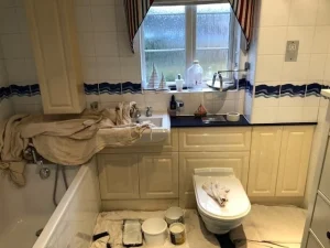 Hand Painrd Bathroom Units 2 Before