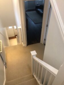 IMG 0059