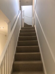 IMG 0065